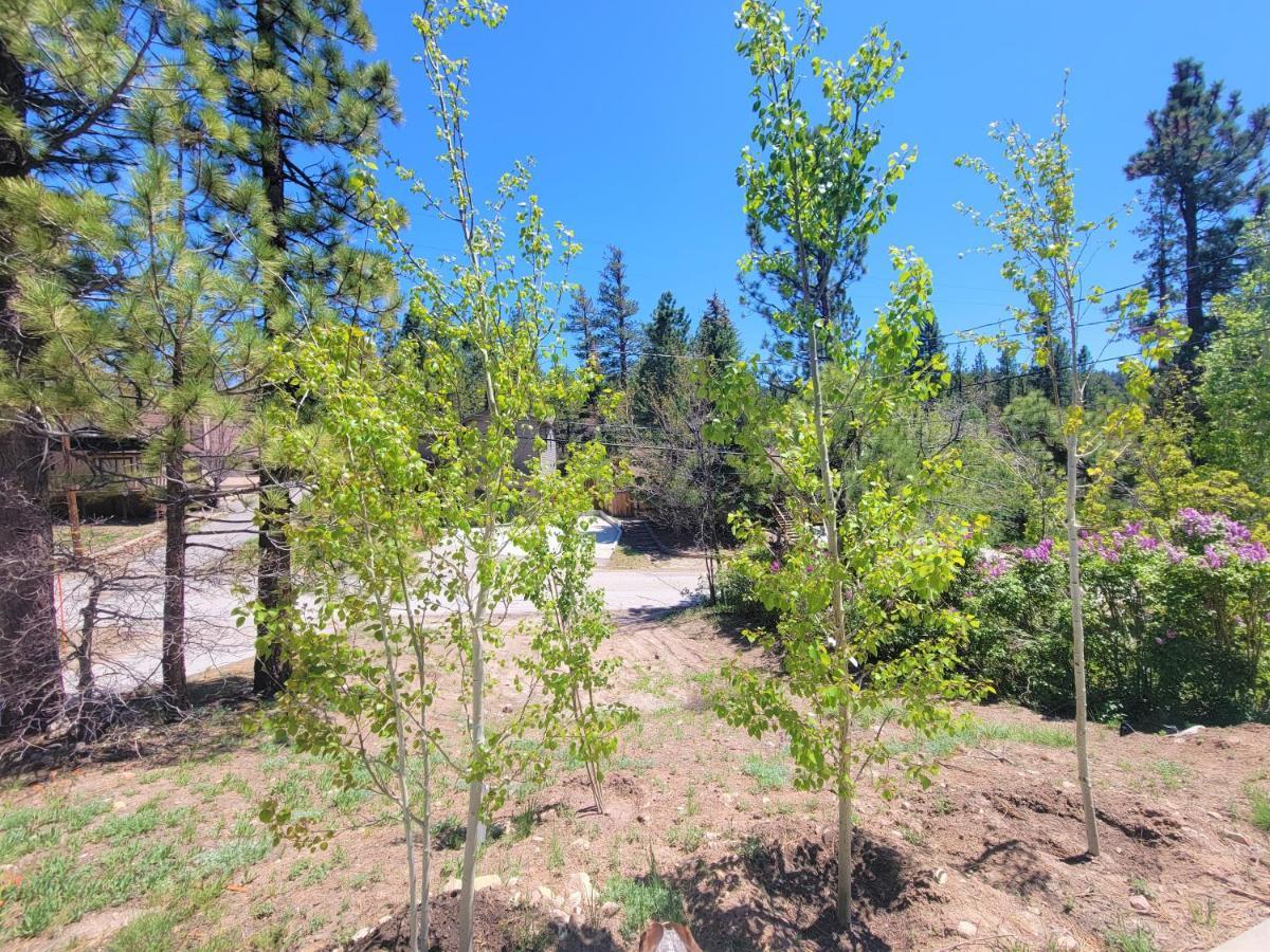 Four Seasons Getaway-Private Hot Spa With Pine Tree Views-Walk To Village And Pineknot Trailhead-Plus King Bed! 빅 베어 레이크 외부 사진
